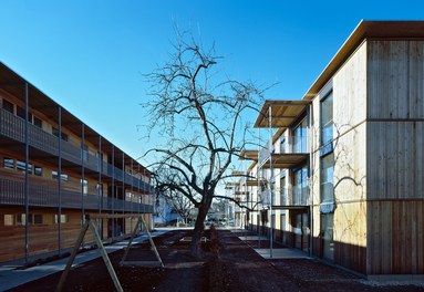 Housing Complex Neudorfstraße - courtyard