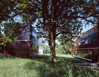 Residence BASE - living under trees