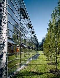 Fire Department and Community Hall Sulz - detail of facade