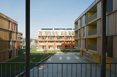 Housing Estate Mühlweg - courtyard