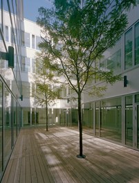 Donauklinikum Tulln - courtyard with trees