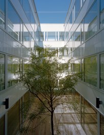 Donauklinikum Tulln - courtyard with trees