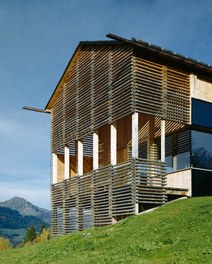 Residence Wucher - detail of facade