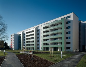 Housing Complex Kammelweg - east facade