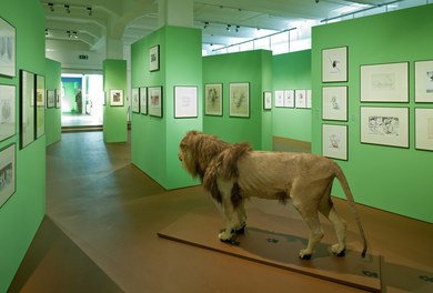 Karikaturmuseum Krems - exhibition