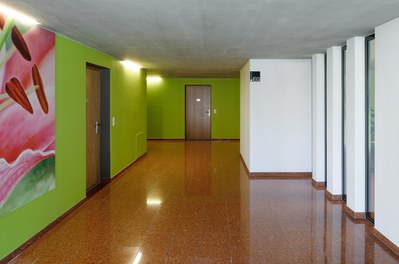 Housing Complex Brielgasse - entrance