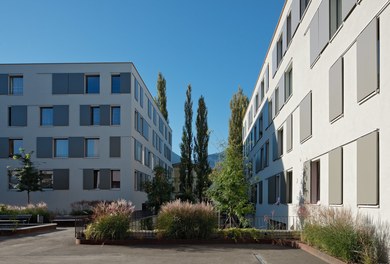 Housing Complex Ulmerareal - courtyard