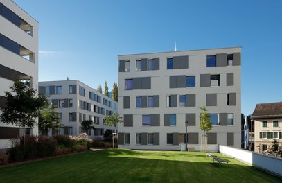 Housing Complex Ulmerareal - courtyard
