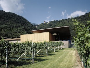 Winery Nals  Margreid - view from northwest