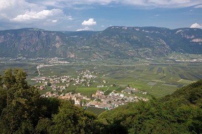 Winery Nals  Margreid - overview