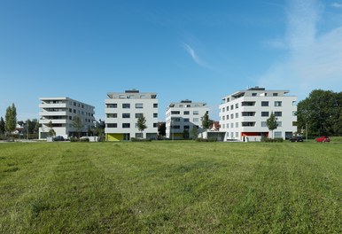 Housing Estate Widum West - view from east