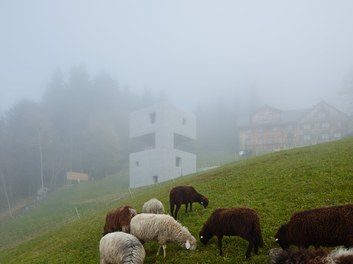 Schutzhaus - general view