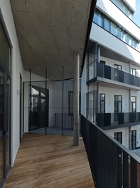 Conversion Heumühlgasse - terrace