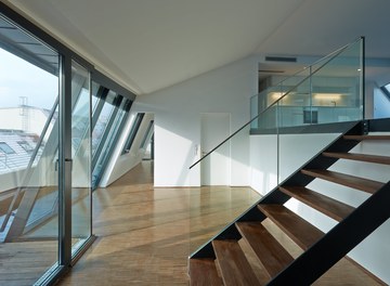 Conversion Heumühlgasse - two-storey living and dining room