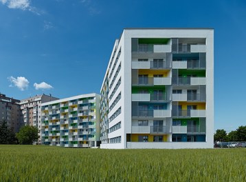 Housing Complex Senekowitschgasse - general view