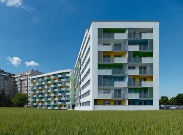 Housing Complex Senekowitschgasse - general view