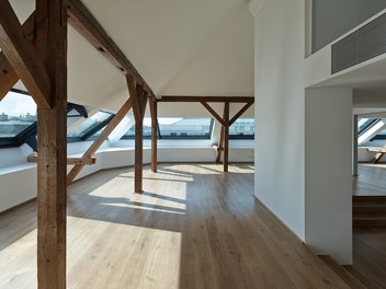 Attic Conversion Stadiongasse - interior