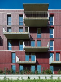 Housing Estate and Kindergarten Steinbockallee - detail of facade