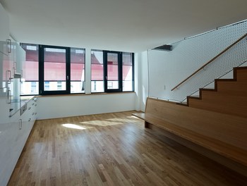 Residential House Diehlgasse - kitchen