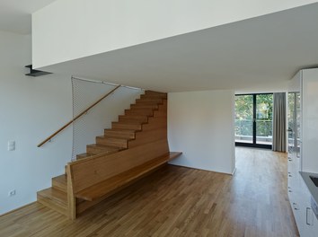 Residential House Diehlgasse - kitchen