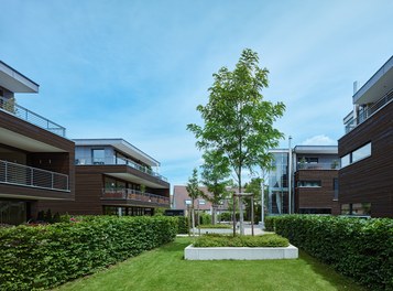 Wohnquartier Frühlingsstrasse - courtyard