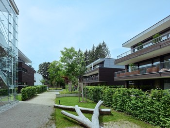 Wohnquartier Frühlingsstrasse - courtyard