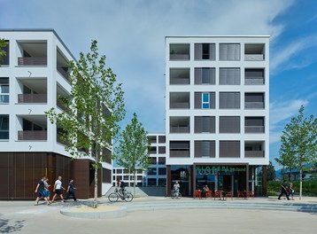 Housing Estate Fellentor - view from street