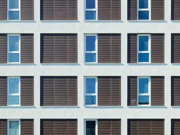 Housing Estate Fellentor - detail of facade