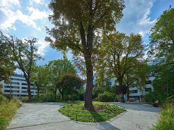 Viktor-Frankl-Park - general view