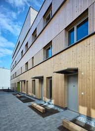 Housing Complex Paulasgasse - detail of facade