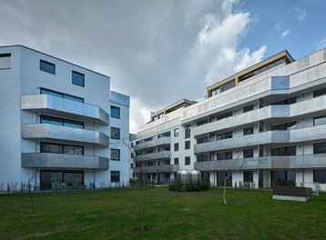 Housing Estate Petrusgasse - view from courtyard