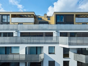 Housing Estate Petrusgasse - detail of facade