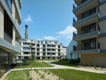 Wohnpark Zwölf - courtyard