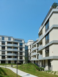 Wohnpark Zwölf - courtyard