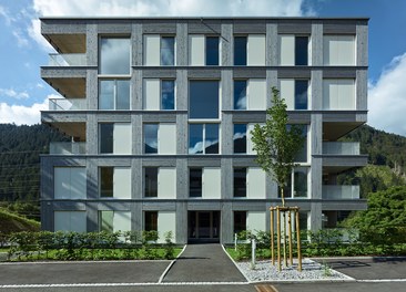 Passive House Complex St. Gallenkirch - entrance
