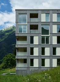 Passive House Complex St. Gallenkirch - detail of facade