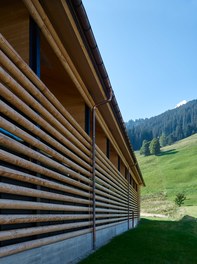 M Preis + Apartment House - detail of facade