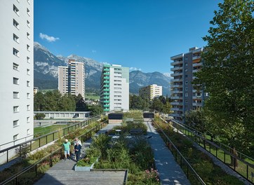 Wohnheim Olympisches Dorf 2 - rooftop garden