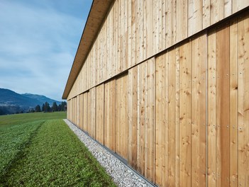 Residence - detail of facade