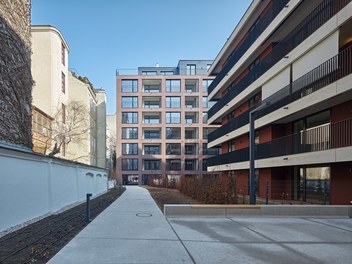 Housing Complex Argentinierstrasse - courtyard