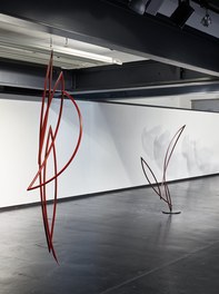 Uwe Hauenfels 1967*/2017 - exhibition