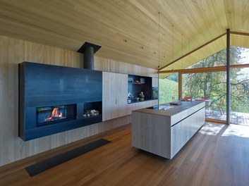 Residence D - kitchen with fire place