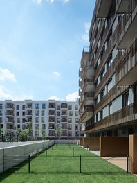 Housing Complex Laend Yard - courtyard