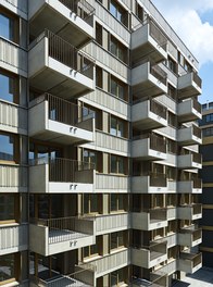 Housing Complex Laend Yard - detail of facade