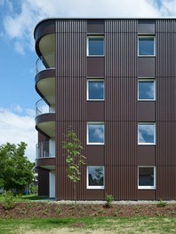 Housing Complex Hohenems - detail of facade