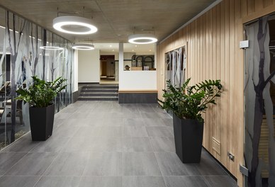 Hotel Waldhof - wellness area