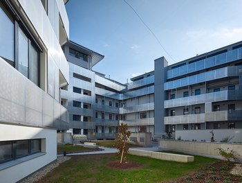 Housing Estate Neubaugürtel - courtyard