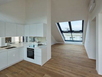 Conversion Residential House Porzellangasse - living-dining room