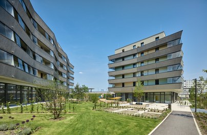 Housing Complex Hirschstetten - courtyard