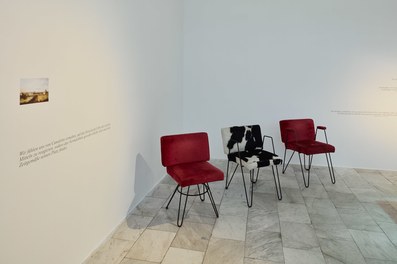Exhibition Wiener Gemischter Satz - exhibition